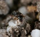 sample-gallery-thumb