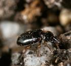 sample-gallery-thumb