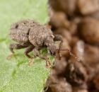 sample-gallery-thumb