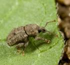 sample-gallery-thumb