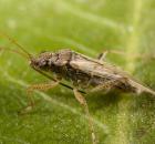 sample-gallery-thumb