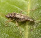 sample-gallery-thumb