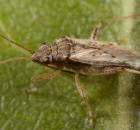 sample-gallery-thumb