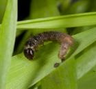 sample-gallery-thumb