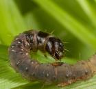 sample-gallery-thumb