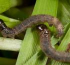 sample-gallery-thumb