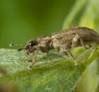 sample-gallery-thumb