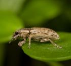 sample-gallery-thumb