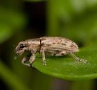 sample-gallery-thumb