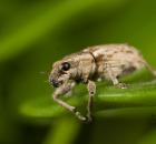 sample-gallery-thumb