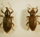 sample-gallery-thumb