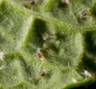 sample-gallery-thumb