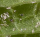 sample-gallery-thumb