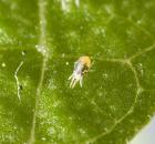 sample-gallery-thumb