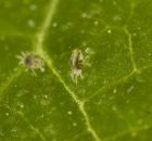 sample-gallery-thumb