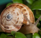 sample-gallery-thumb