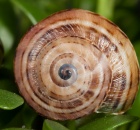 sample-gallery-thumb