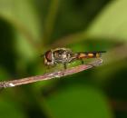 sample-gallery-thumb