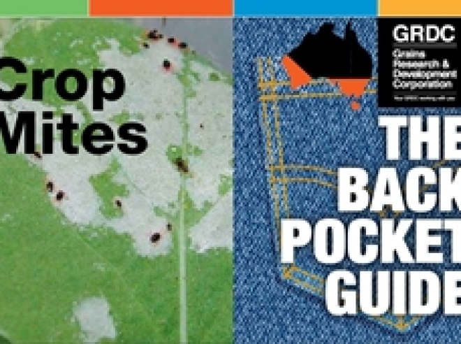 backpocketguide